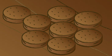ship's biscuits